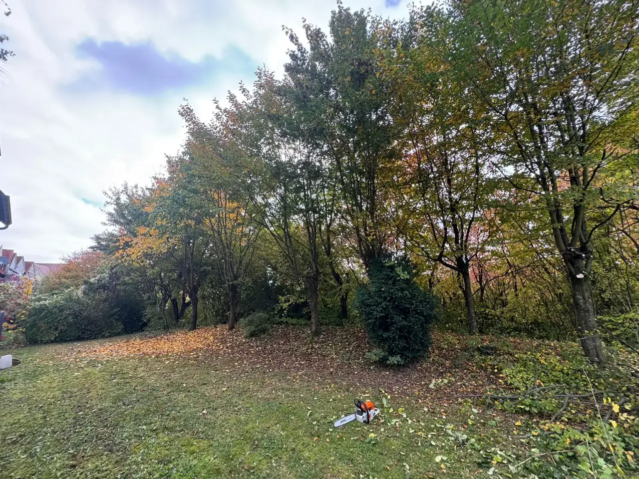 Gartenpflege in Heilbronn mit gepflegten Außenanlagen