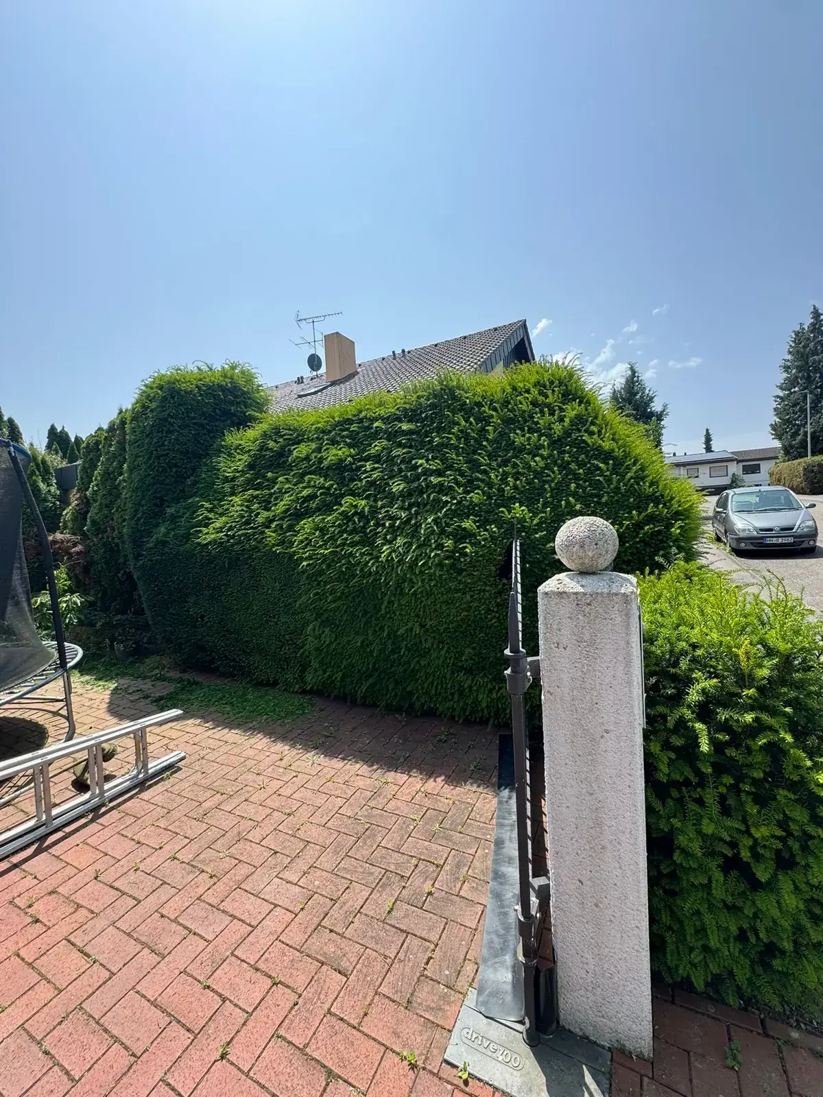 Beispielbild: Formschnitt der Hecke