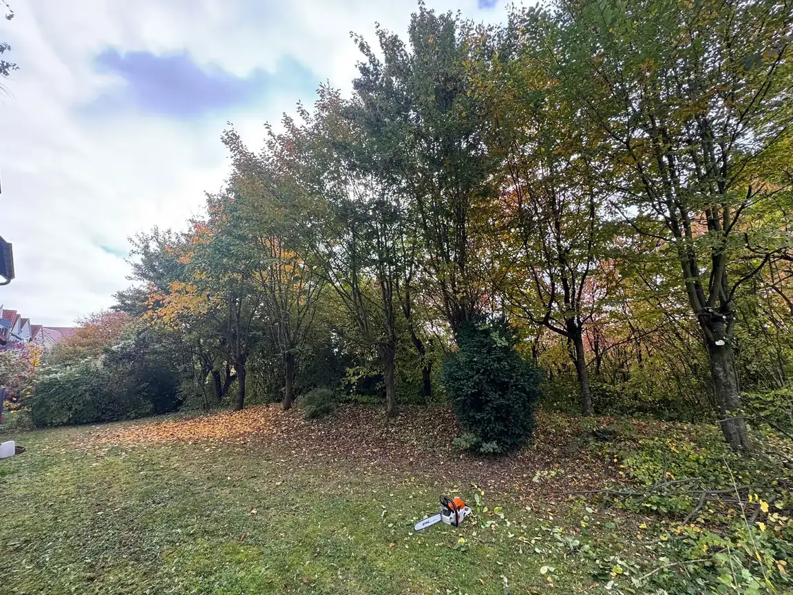 Beispielbild: Gartenpflege im Raum Heilbronn